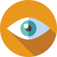 Our Vision
